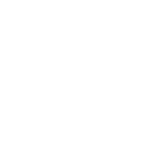 LOGOIPSUM-5.png